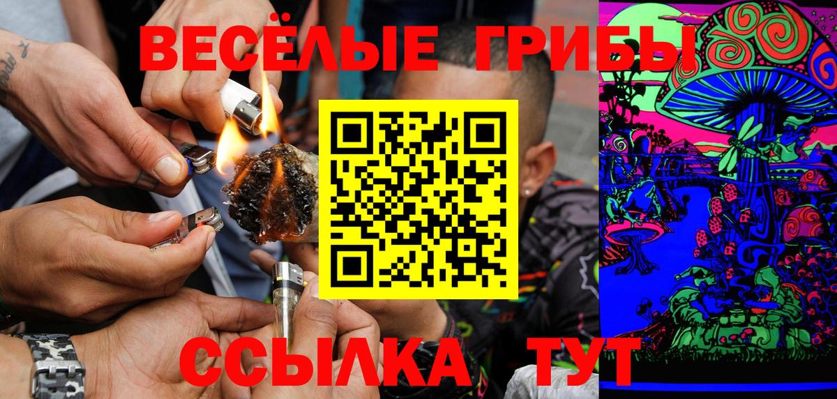Псилоцибиновые грибы Cubensis  закладки  Соликамск  Вход с VPN  Псилоцибиновые грибы Psilocybine cubensis 